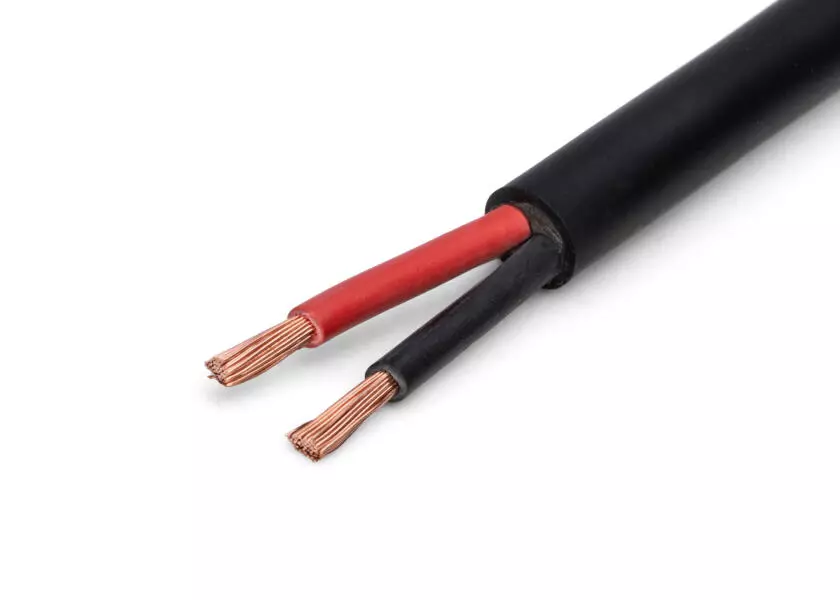 Speaker Cable Image 1 of 1