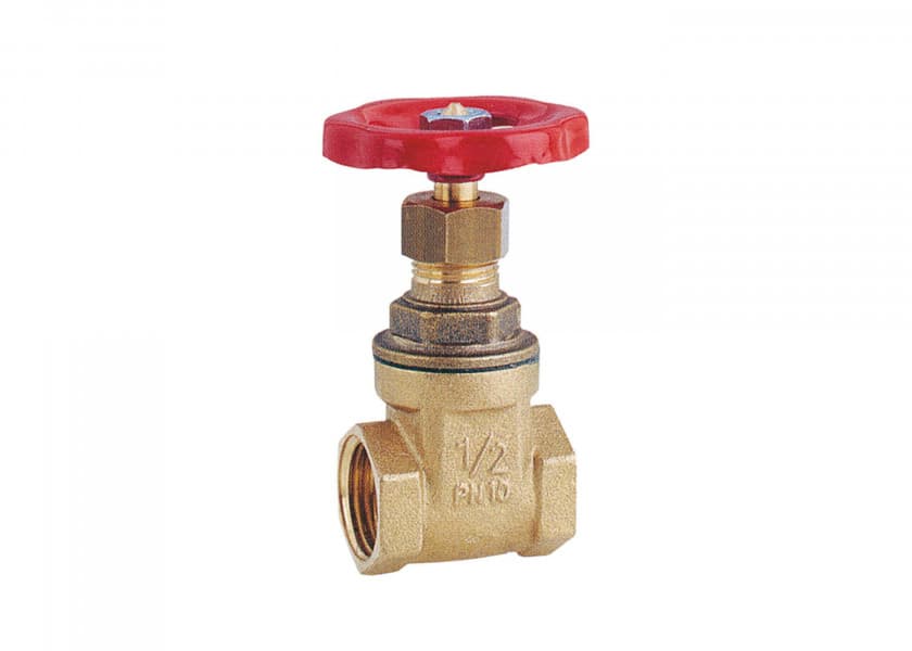 MAESTRINI Brass Gate Valve Image 1 of 1